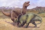  dinosaur fight rex scalie stabbed triceratops 