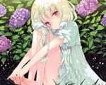  1girl bare_legs barefoot blonde_hair cafe_sourire cuteg dress feet flower hands_on_feet head_tilt holding_own_foot hydrangea leg_hug long_hair non-web_source ogiwara_kyouko sitting soles solo toes 