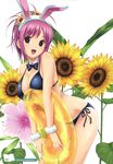  absurdres animal_ears bikini black_bikini bow bowtie breast_press breasts bunny_ears flower highres hinata_hanabi innertube koutaro medium_breasts open_mouth pink_eyes pink_hair side-tie_bikini smile solo sunflower swimsuit tropical_kiss wristband 