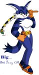  2009 belt big_the_cat breasts featureless_breasts female fishing_rod meanmotorscooter sonic_(series) yellow_eyes 