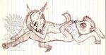  chibi drerika feline fellatio female ferret lynx male mammal mustelid oral oral_sex sex tagme 