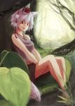  animal_ears bare_arms bare_shoulders barefoot breasts hat inubashiri_momiji kirisame_tarou looking_at_viewer medium_breasts midriff nature open_mouth red_eyes short_hair silver_hair sitting soaking_feet solo tail tokin_hat touhou tree v_arms water wolf_ears wolf_tail 