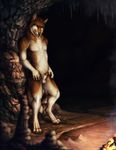  balls campfire canin_penis canine cave darkicewolf digitigrade fire flaccid male mammal nude penis penis_tip sheath solo standing wolf 