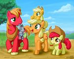  2014 amber_eyes apple_bloom_(mlp) applejack_(mlp) big_macintosh_(mlp) blush brother cloud cowboy_hat cutie_mark earth_pony equine female feral freckles friendship_is_magic fur green_eyes group hair hat horse male mammal my_little_pony open_mouth orange_fur outside plushie pony red_fur sibling sister sky smartypants_(mlp) standing uotapo yellow_fur 