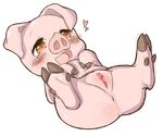  anus blush butt clitoris cub edit female feral happy lying mammal notama on_back open_mouth pig plain_background porcine presenting presenting_pussy pussy smile solo spread_legs spreading tongue white_background young 