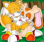  anal blush cream_the_rabbit cum dildo double_dildo duo female forest male miles_prower pegging penis pussy pussy_juice sega sex_toy sonic_(series) tree 
