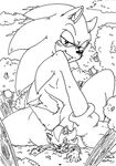  gay macro male sega shadow_the_hedgehog soina sonic_(series) sonic_the_hedgehog 