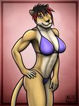  2014 anthro aolun bikini breasts brown_hair clothed clothing feline female fur hair lion looking_at_viewer mammal plain_background pose purple_eyes red_hair solo swimsuit toned yellow_fur 