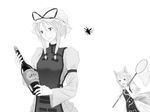  alcohol animal_ears bad_id bad_pixiv_id beetle bottle bug butterfly_net fox_ears fox_tail greyscale hand_net hat holding insect long_hair long_sleeves monochrome multiple_girls multiple_tails no_hat no_headwear short_hair stag_beetle tail touhou white_background wide_sleeves wimifu wine yakumo_ran yakumo_yukari younger 