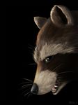  2014 emptyset guardians_of_the_galaxy male mammal raccoon rocket_raccoon solo 