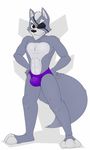  anthro bulge canine eye_patch eyewear male mammal neenya nintendo solo speedo star_fox swimsuit video_games wolf wolf_o&#039;donnell 