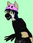  2014 anthro bluwolfie canine clothing cute fox fur green_eyes hair hat kirby kirby_(series) male mammal nintendo smile video_games wolf young 