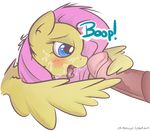  2014 alpha_channel animal_genitalia blue_eyes blush cum cum_on_face cum_on_tongue equine female feral fluttershy_(mlp) friendship_is_magic hair horsecock itspencilguy male mammal my_little_pony open_mouth pegasus penis pink_hair plain_background straight tongue transparent_background wingjob wings 