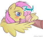  2014 alpha_channel animal_genitalia blue_eyes blush equine female feral fluttershy_(mlp) friendship_is_magic hair horsecock itspencilguy male mammal my_little_pony open_mouth pegasus penis pink_hair plain_background straight tongue transparent_background wingjob wings 