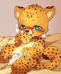  bite blush cheetah feline huiro llama mammal size_difference 
