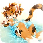  butt cotora cub feline female kemono looking_at_viewer mammal raised_tail solo swimming swimsuit young 
