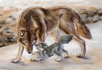  age_difference canine cub feral male mammal size_difference spera wolf young 