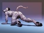  anus balls butt canine dalmatian dog male mammal nude virtyalfobo 