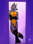  2014 abs anthro balls black_nose blonde_hair canine claws door frame fur hair leaning looking_at_viewer male mammal muscles nude paws penis pinup pose sheath smile solo standing tsaiwolf white_fur wolf 