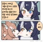  &gt;:o animal_ears biting black_hair blue_eyes brown_hair cheek_biting commentary_request eyebrows_visible_through_hair fang fur_collar grey_wolf_(kemono_friends) heterochromia japanese_wolf_(kemono_friends) kemono_friends korean_commentary korean_text long_hair looking_at_another looking_at_viewer multicolored_hair orange_eyes roonhee short_hair smile streaked_hair translation_request v-shaped_eyebrows wolf_ears wolf_girl 