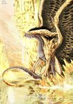  absurd_res blue_eyes dragon feral hi_res muscles pacelic reptile scalie solo wings yellow_scales yellow_skin 