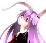  animal_ears bunny_ears extra_ears frown lavender_hair long_hair looking_at_viewer looking_back nayutaro red_eyes reisen_udongein_inaba shaft_look simple_background solo touhou white_background 