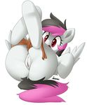  bdsm bondage bound clitoris derpah equine feathers female friendship_is_magic fur hair hi_res hooves horse looking_at_viewer mammal my_little_pony open_mouth original_character pegasus plain_background pony presenting pussy red_eyes rope solo two_tone_hair white_fur wings 