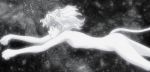  animal_humanoid black_and_white cat_humanoid cat_tail chimera_ant feline hair humanoid hunter_x_hunter mammal monochrome neferpitou nude shocked solo white_hair 