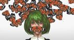  antennae bug butterfly cmy covering_mouth eyebrows eyelashes eyeliner green_eyes green_hair grey_background insect looking_at_viewer makeup monarch_butterfly neck short_hair simple_background solo touhou wriggle_nightbug 