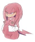  bluechika crossgender echidna knuckles_the_echidna pregnant sega sonic_(series) 