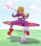  anthro avian bird dulce_isis female hover_board sega sonic_(series) sonic_riders wave_the_swallow 