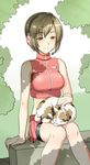  absurdres bare_shoulders breasts brown_eyes brown_hair cat denki_shougun headphones headset highres large_breasts meiko midriff project_diva project_diva_(series) short_hair sitting smile solo vocaloid 