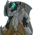  canine fox invalid_tag kinase labcoat liquid male mammal nude partial_nudity red_fox scientist shadow sheath 