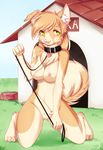  &lt;3 bowl breasts canine collar dog doghouse female fluffy_tail fur hair kneeling leash looking_at_viewer mammal name_tag nipples nude outside pet_play pomeranian pussy rika_(character) smile solo tongue tongue_out white-castle 