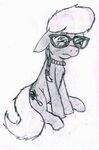  cub derpsickle equine eyewear female friendship_is_magic glasses mammal my_little_pony silver_spoon_(mlp) solo worried young 
