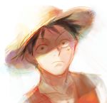  1boy hat looking_at_viewer male male_focus monkey_d_luffy one_piece red_vest shadowed_eyes solo straw_hat yamsong 