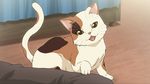  calico cat game_cg highres no_humans official_art shamisen_(suzumiya_haruhi) suzumiya_haruhi_no_shoushitsu suzumiya_haruhi_no_tsuisou suzumiya_haruhi_no_yuuutsu 