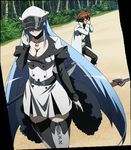  1boy 1girl akame_ga_kill! beach blue_hair breasts brown_hair esdeath esdese hat highres large_breasts long_hair square_enix standing stitched tatsumi_(akame_ga_kill!) uniform 