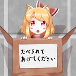 animal_ears blonde_hair blush_stickers bow box cardboard_box cat_ears collar commentary for_adoption hair_bow in_box in_container kemonomimi_mode looking_at_viewer open_mouth red_eyes roco_(katsuya1011) rumia solo touhou translated 