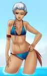  ;) armband bangs bikini blue_bikini braid breasts contrapposto downscaled eyebrows french_braid greenmarine hand_on_hip highres impa light_smile lips md5_mismatch navel nose one_eye_closed pointy_ears red_eyes resized small_breasts smile solo standing swimsuit the_legend_of_zelda wading water white_hair wide_hips zelda_musou 