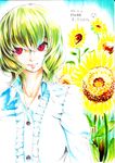  dress_shirt flower frills green_hair highres kazami_yuuka looking_at_viewer mattari_yufi multiple_girls red_eyes shikishi shirt short_hair smile sunflower touhou traditional_media 