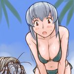  bikini breasts cleavage crustacean hermit_crab large_breasts lowres older rozen_maiden silver_hair solo suigintou swimsuit tsuda_nanafushi 