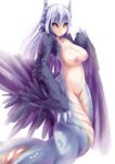  black_sclera breasts claws dunceneygak feathered_wings horns large_breasts lavender_hair long_hair looking_at_viewer monster_girl navel nipples nude orange_eyes original simple_background solo tail_feathers white_background wings 