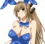  1girl ahoge amagi_brilliant_park animal_ears antenna_hair bare_shoulders black_eyes blush bow bowtie breasts brown_hair bunny_ears bunny_girl bunnysuit cleavage hair_ornament hair_ribbon highres large_breasts leotard long_hair looking_at_viewer ponytail ribbon sento_isuzu shiny shiny_skin simple_background solo sweat sweatdrop white_background yellow_eyes 