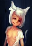  abuse animal_ears cat_ears glasgow_smile ikelag nipples open_clothes open_shirt scar shirt small_areolae small_breasts small_nipples tail white_hair 