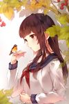  berries bird branch brown_eyes brown_hair hands highres leaf long_hair original school_uniform serafuku solo tukino_(panna) 