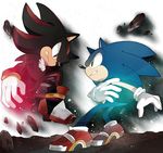  bad_id bad_pixiv_id face-to-face furry gloves multiple_boys naoko_(juvenile) shadow_the_hedgehog shoes sneakers sonic sonic_the_hedgehog 