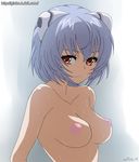  ayanami_rei bad_id bad_pixiv_id blue_hair breasts collarbone dated ginko_(silver_fox) looking_at_viewer neon_genesis_evangelion nipples nude perky_breasts red_eyes short_hair solo sweat 