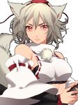  animal_ears bad_id bad_pixiv_id bare_shoulders breasts detached_sleeves hat highres inubashiri_momiji looking_at_viewer medium_breasts midriff mihatarou pom_pom_(clothes) red_eyes short_hair silver_hair solo sword tail tokin_hat touhou weapon wolf_ears wolf_tail 