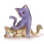 2cats aosora_(mizore) blue_eyes cat cats lowres red_eyes yuri 